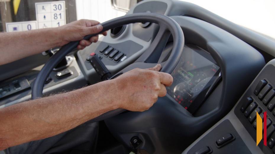 В Воронеже автобус зажал дверями женщину с детьми и поехал