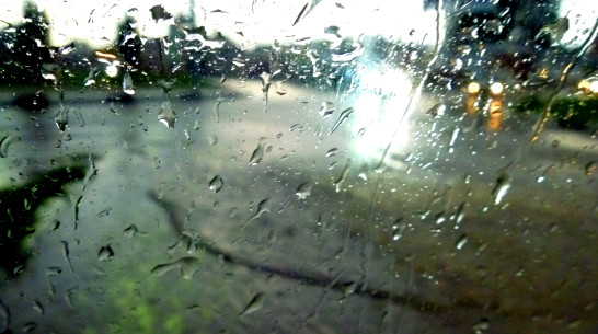 Вся неделя в Воронеже и области будет прохладной и дождливой