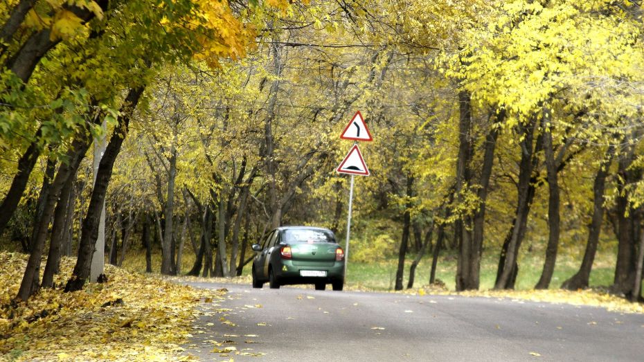 Ноябрь в Воронеже начнется с теплой погоды