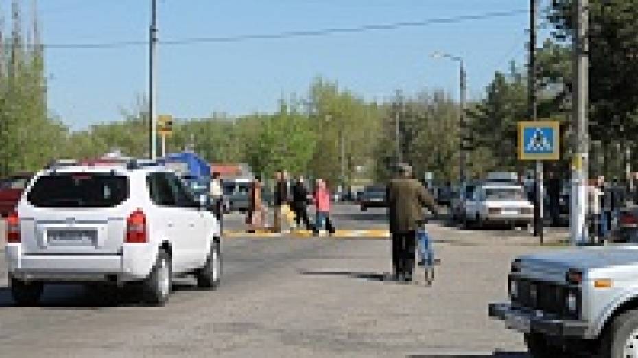 В Петропавловском районе пожелтели «зебры»