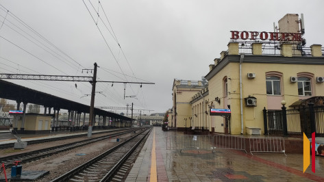 Воронежец с психическим расстройством избил полицейского на железнодорожном вокзале