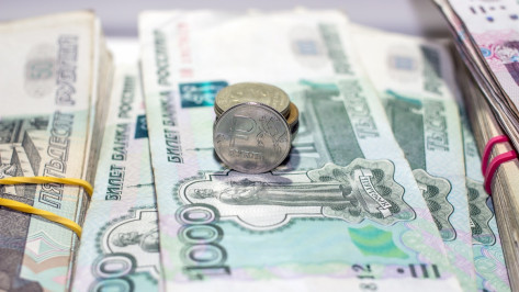 Каждый воронежец в среднем задолжал банкам 348 тыс рублей