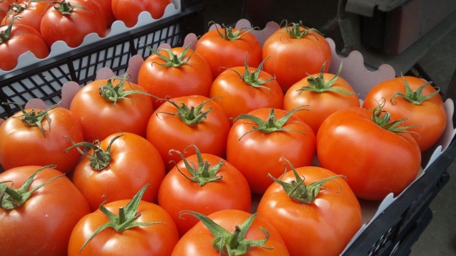 Прокуратура нашла на воронежском рынке 100 кг турецких помидоров