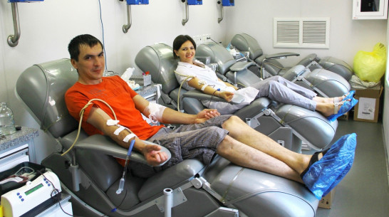 Семилукские медики попросили помощи в пополнении регионального банка крови
