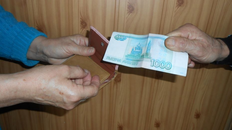 В Воронежской области безработный ограбил пенсионерку