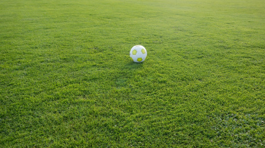 Футбольное поле при школе №2 в Семилуках Воронежской области построят к ноябрю