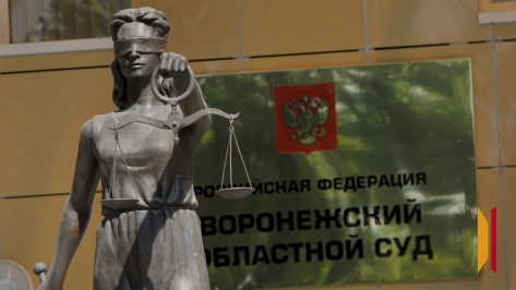 Жительница Нововоронежа не смогла обжаловать приговор за убийство гостьи
