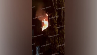 В Воронеже загорелась трехкомнатная квартира на улице Беговой