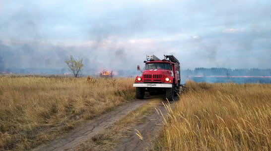Число районов Воронежской области с высоким классом пожарной опасности сократилось до 8