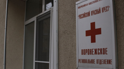 Гумпомощь РКК в Воронежской области получили 1,5 тыс детей из Донбасса и Украины