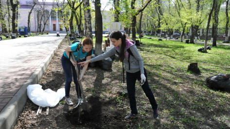 Воронежцы озеленили сквер ДК Железнодорожников и площадку детсада