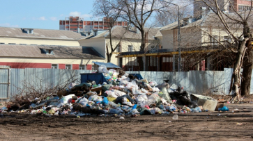 Число кластеров по переработке мусора в Воронежской области увеличится до 15