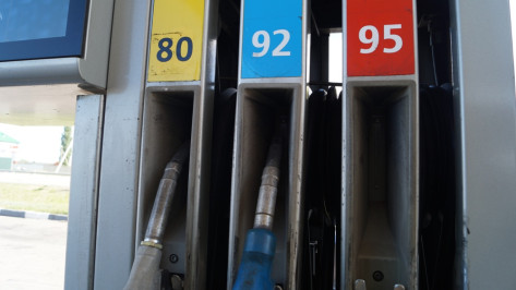 Экологи Воронежской области оштрафовали продавца нефтепродуктов на 400 тыс рублей