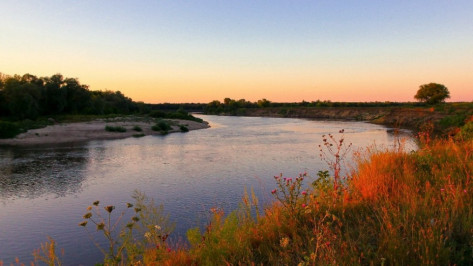 Власти начали поиск подрядчика для укрепления берега Дона в  Воронежской области