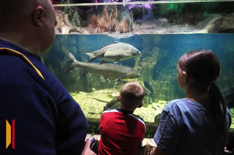 Многодетная семья 6 января