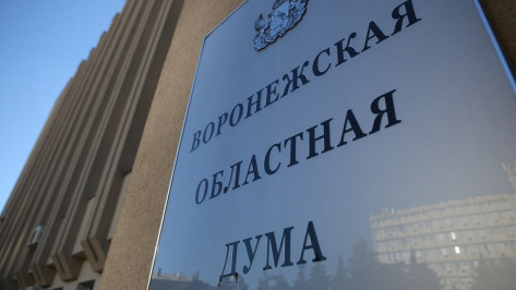 Правительство Воронежской области внесло на рассмотрение в облдуму проект бюджета на 2026–2028 годы