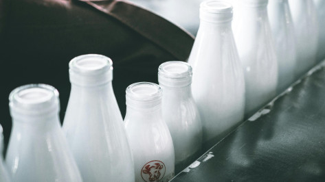 Почти 800 кг некачественной молочной продукции изъяли в Воронежской области