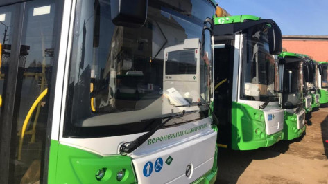 Скорое появление новых автобусов на 3 маршрутах анонсировали в Воронеже
