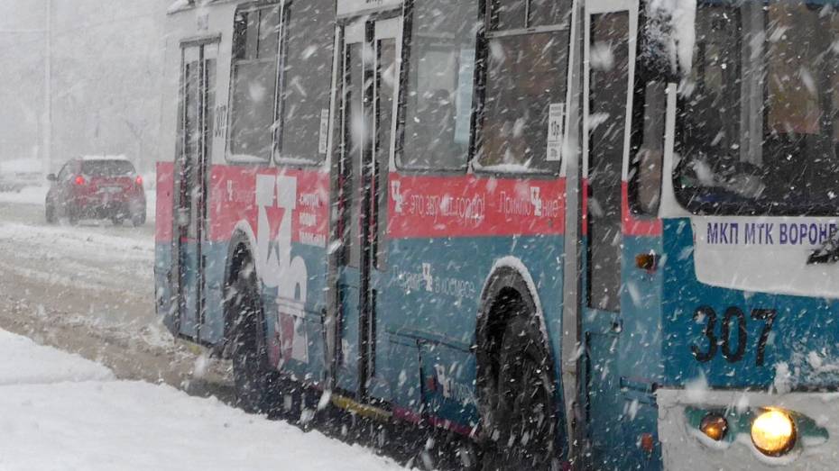В Воронеже приостановили движение троллейбусного маршрута №11