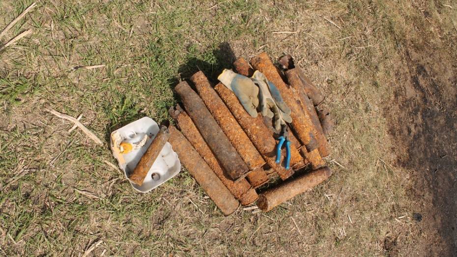 В Хохольском районе нашли более 200 боеприпасов времен Великой Отечественной войны
