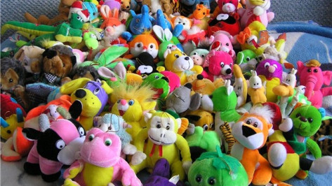 В течение трех дней в Воронеже будут собирать игрушки для сирот