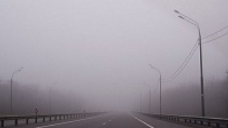 В Рамонском районе из-за ледяного дождя за два дня произошло 17 ДТП