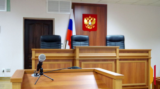 Жительницу Воронежской области лишили свободы за неуплату алиментов