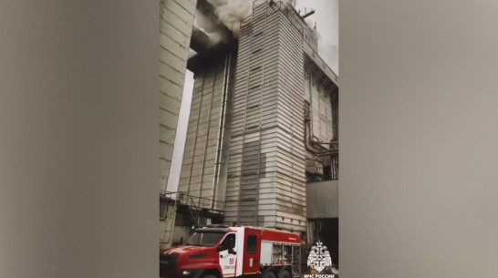 Тушение крупного элеватора под Воронежем сняли на видео