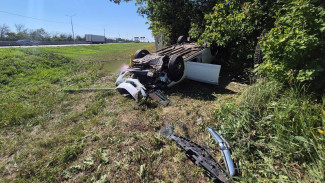 Вылетел в кювет и опрокинулся: на трассе в Воронежской области погиб пожилой водитель
