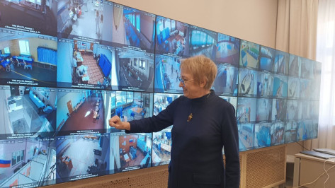 Воронежцы смогут проследить за ходом голосования в Центре общественного наблюдения за выборами