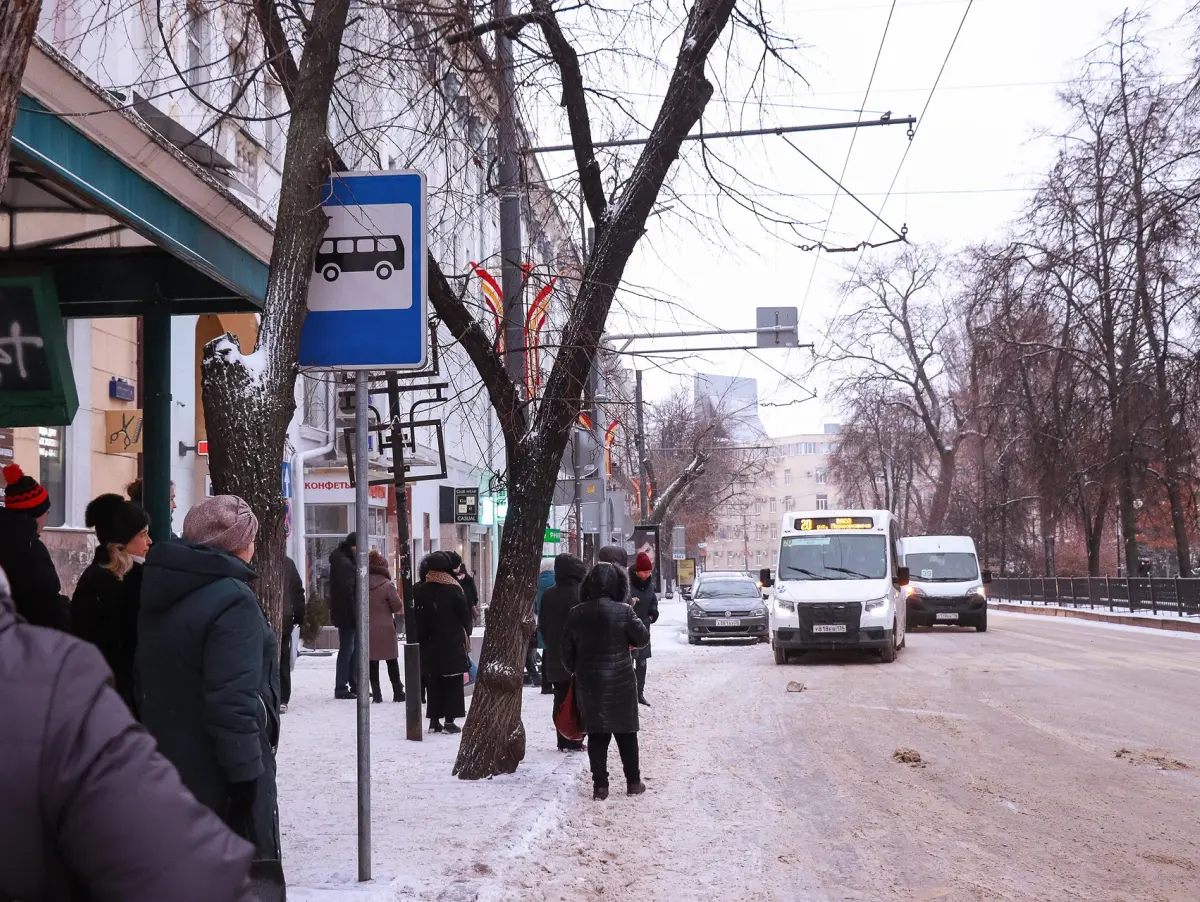 В Воронеже появятся три новых автобусных маршрута