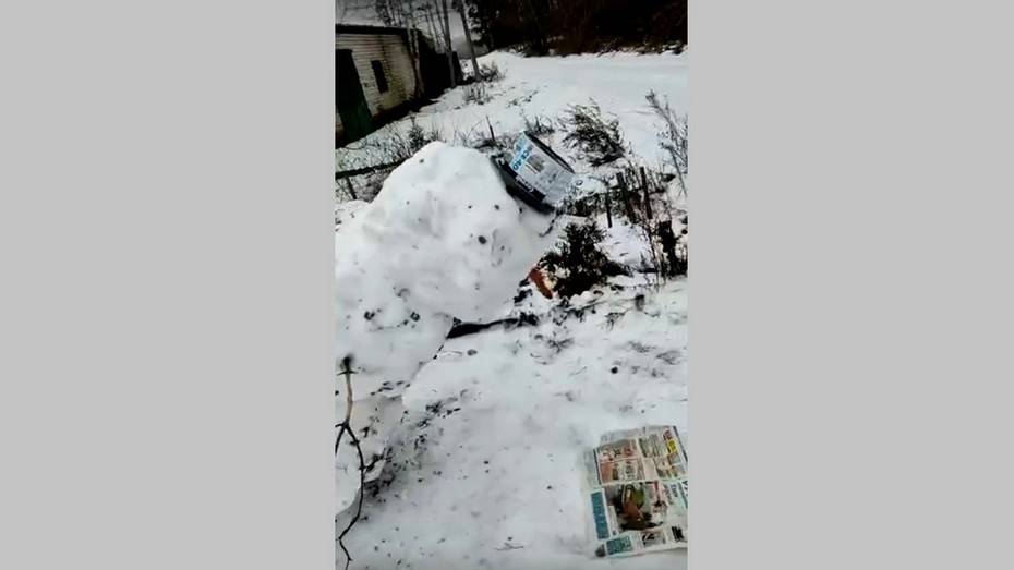 Жительница Верхнехавского района слепила «читающего» газету снеговика