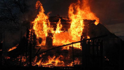 В селе Троицком Новохоперского района из-за пала сухой травы сгорело два дома