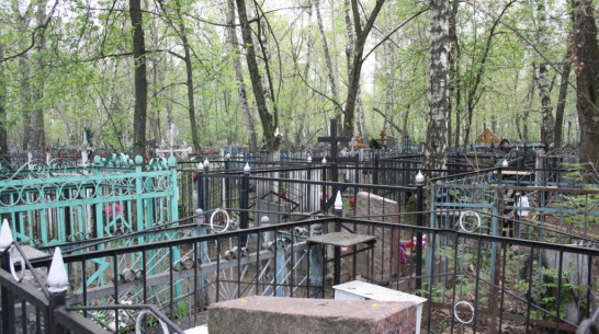 Житель Верхнемамонского района похитил с кладбища 22 столбика и огородил ими свою усадьбу