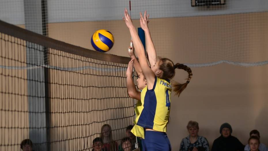В Грибановке пройдет межрегиональный турнир по волейболу среди женщин