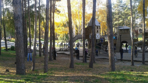 Пользователи Рунета выделили воронежский парк «Алые паруса»
