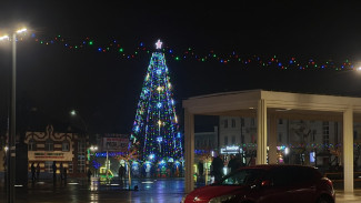 Новогоднюю елку в Острогожске откроют вечером 31 декабря