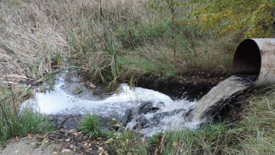 Под Воронежем выявили загрязнение почвы канализационными стоками