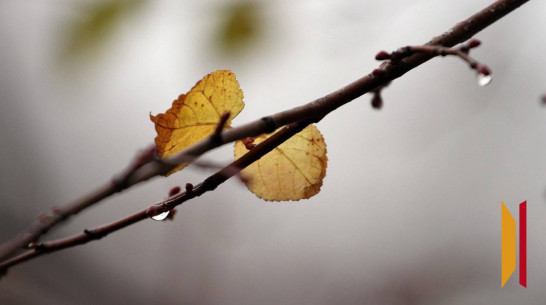 Воронежцев ждет холодная и дождливая погода 29 сентября