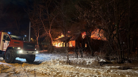 Два дома сгорели в Воронеже из-за вероятного поджога: видео
