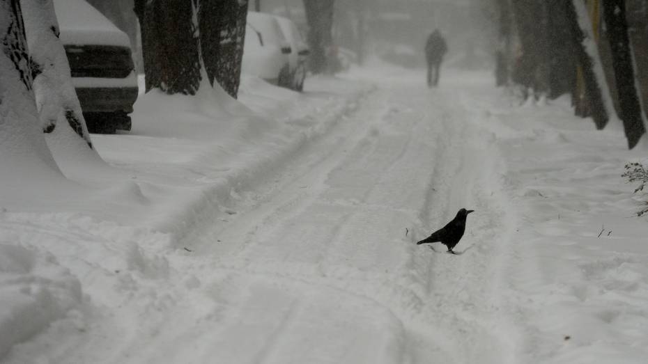 Сильный снегопад прогнозируют в Воронежской области 9 декабря