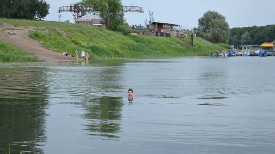 Водоемы Павловского района пригодны для купания