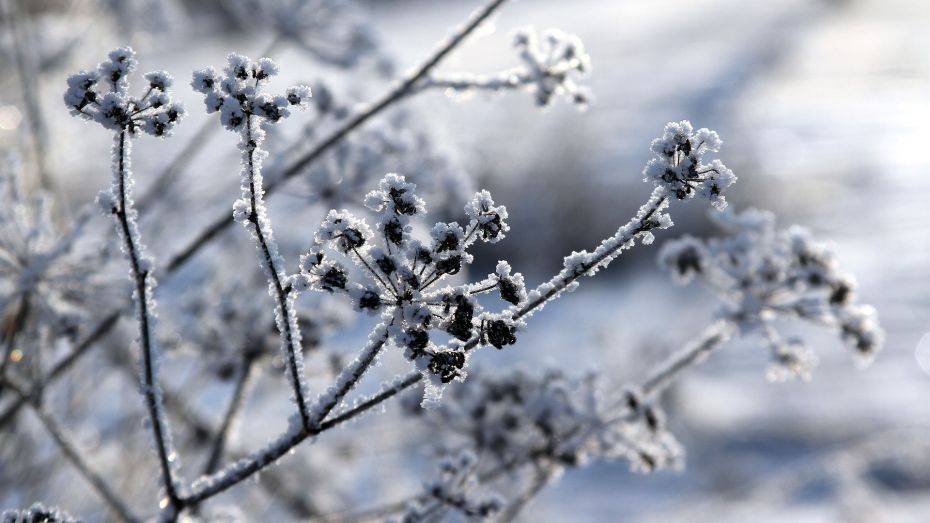 Синоптики рассказали, когда в Воронежскую область придет 10-градусный мороз