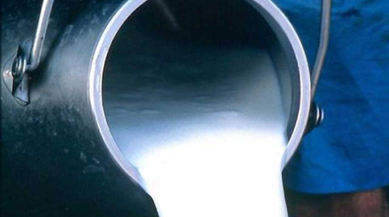 «ЭкоНиваАгро» поставила молочный рекорд