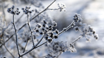 Синоптики рассказали, когда в Воронежскую область придет 10-градусный мороз