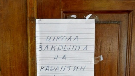 В Воронеже школу №16 закрыли на карантин из-за ОРВИ и гриппа