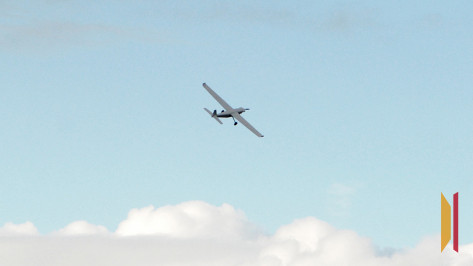 В Воронежской области сбили 1 БПЛА в ночь на 8 ноября