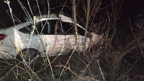 Врезались в дерево: в Воронежской области трое несовершеннолетних пострадали в ДТП