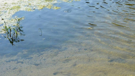 Под Воронежем водолазы продолжат поиски утонувшего местного жителя