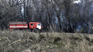 Причиной пожара в районе Воронежской областной больницы стал поджог